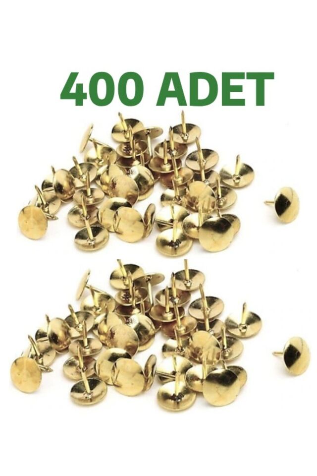 10 Kutu Raptiye Toplamda 400 Adet Raptiye